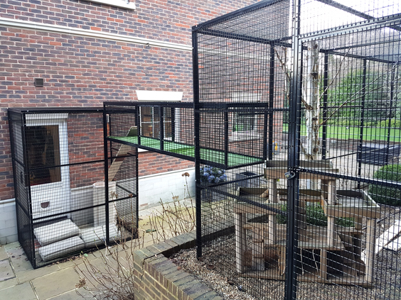 cat enclosure mesh