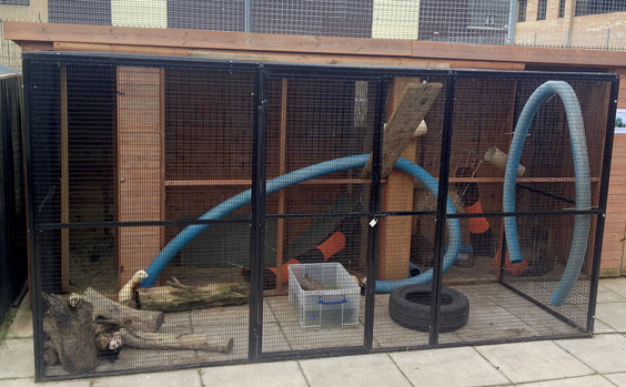 outdoor ferret cage